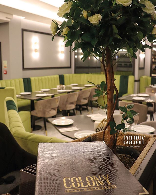 Colony Restaurant - indian restaurant in Redbridge