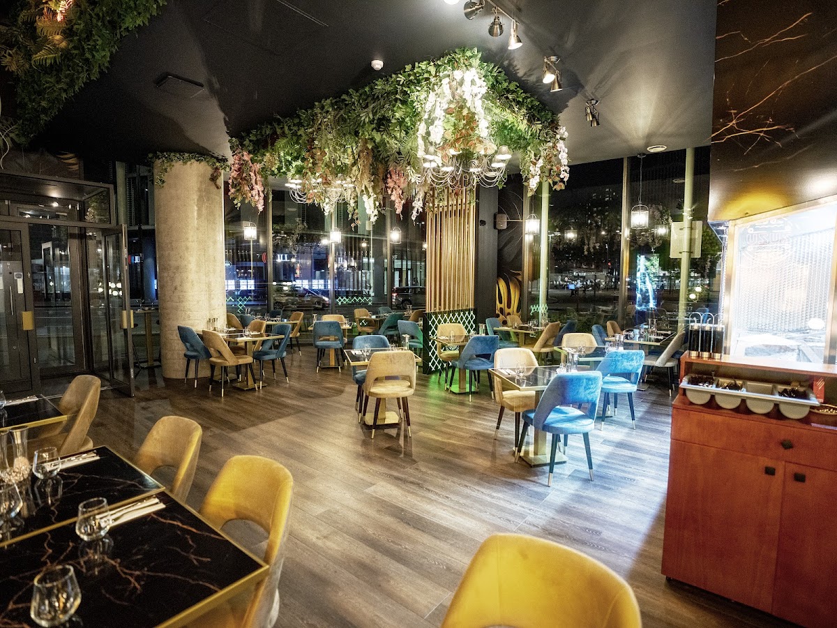 ZUZU BISTRO BAR - french